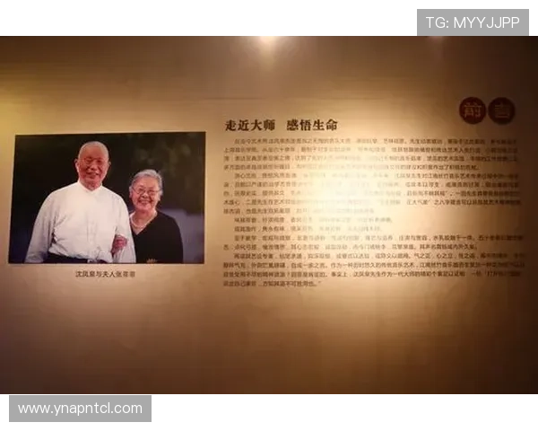 乒乓球传奇陈军的职业生涯与心路历程深度对话 乒乓球传奇陈军的职业生涯与心路历程深度对话