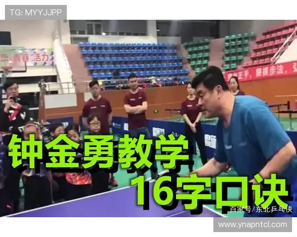 南京乒乓球队节奏对比独家深度解析与未来发展趋势探讨 南京乒乓球队节奏对比独家深度解析与未来发展趋势探讨