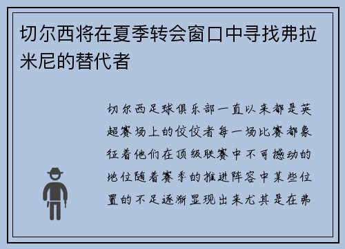 切尔西将在夏季转会窗口中寻找弗拉米尼的替代者